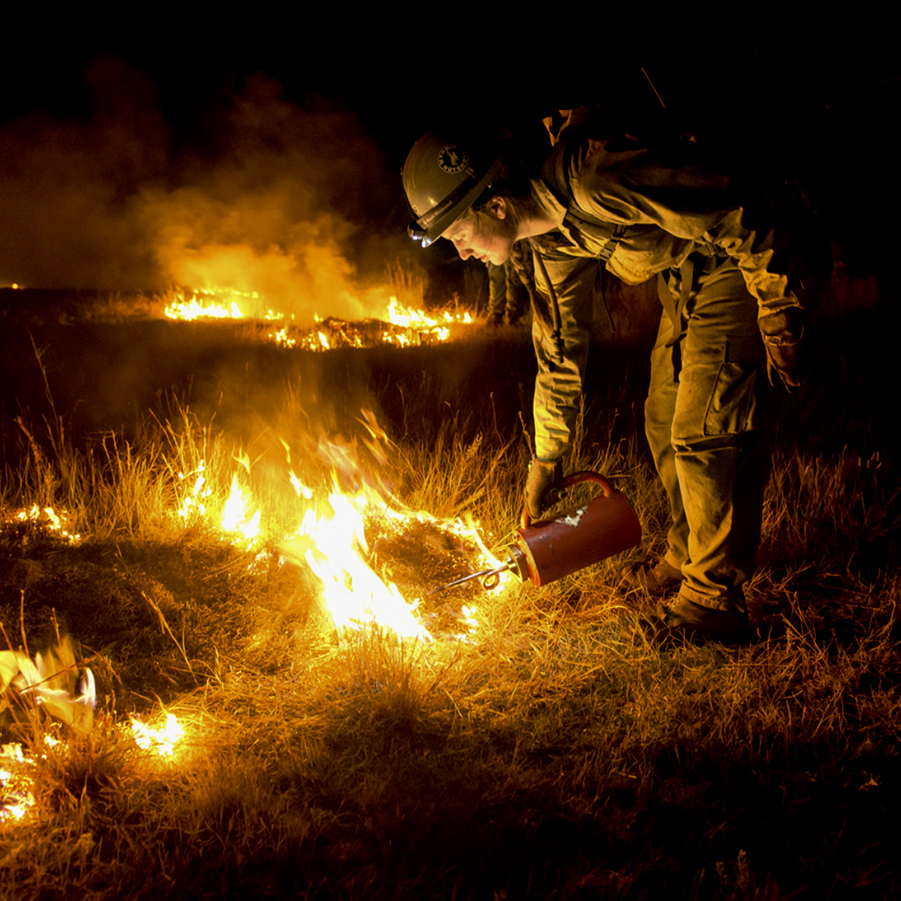 intentional fire